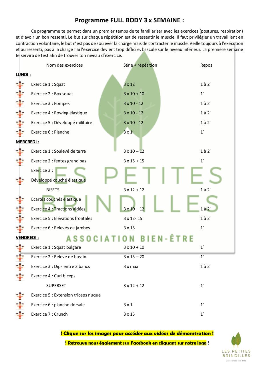 Aperçu du document FULLBODYBrindille.pdf - page 1/1