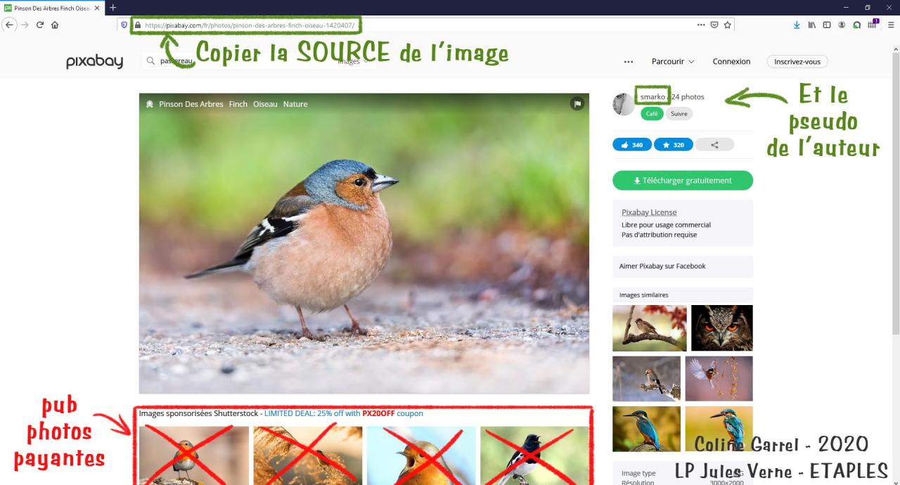 Aperçu du fichier PDF tutorielpixabay.pdf
