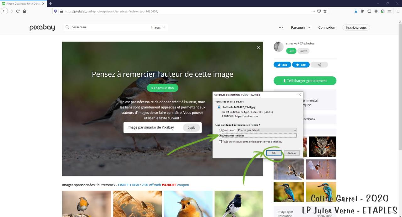 Aperçu du fichier PDF tutorielpixabay.pdf