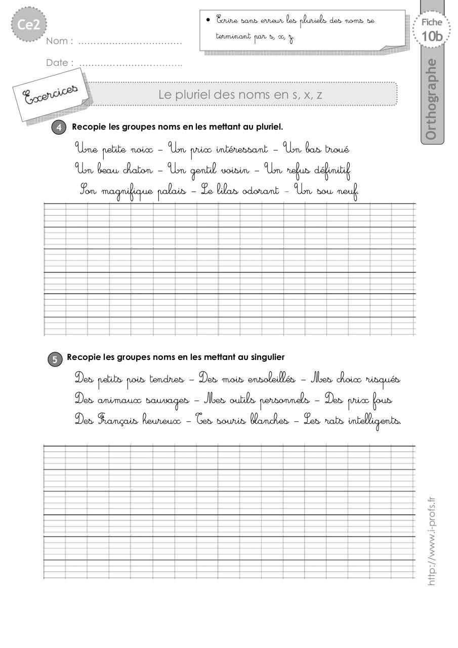 ce2-exercices-pluriel-sxz.pdf - page 2/4