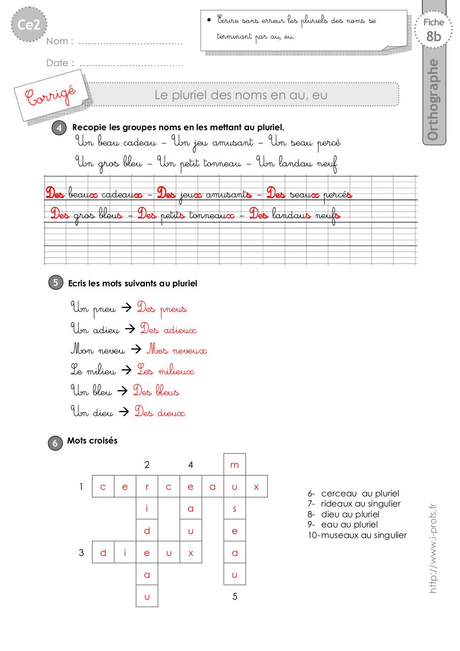 Aperçu du fichier PDF ce2-exercices-pluriel-au-eu.pdf