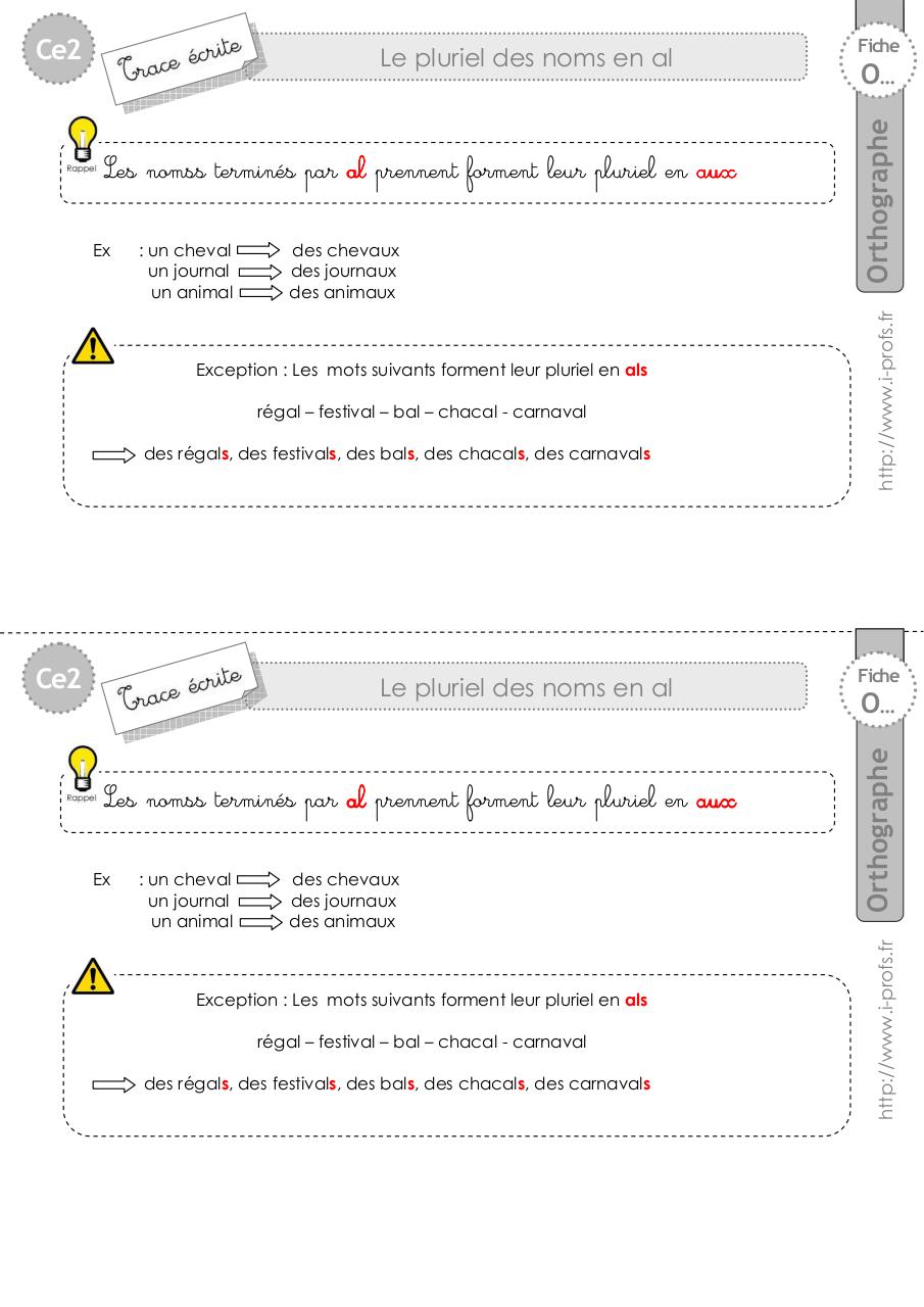 Aperçu du document ce2-trace-ecrite-pluriel-al.pdf - page 1/1