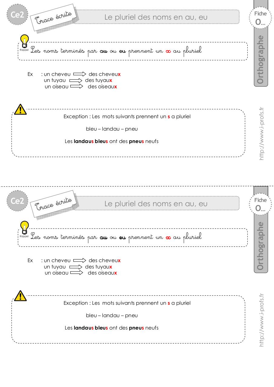 Aperçu du document ce2-trace-ecrite-pluriel-au-eu.pdf - page 1/1