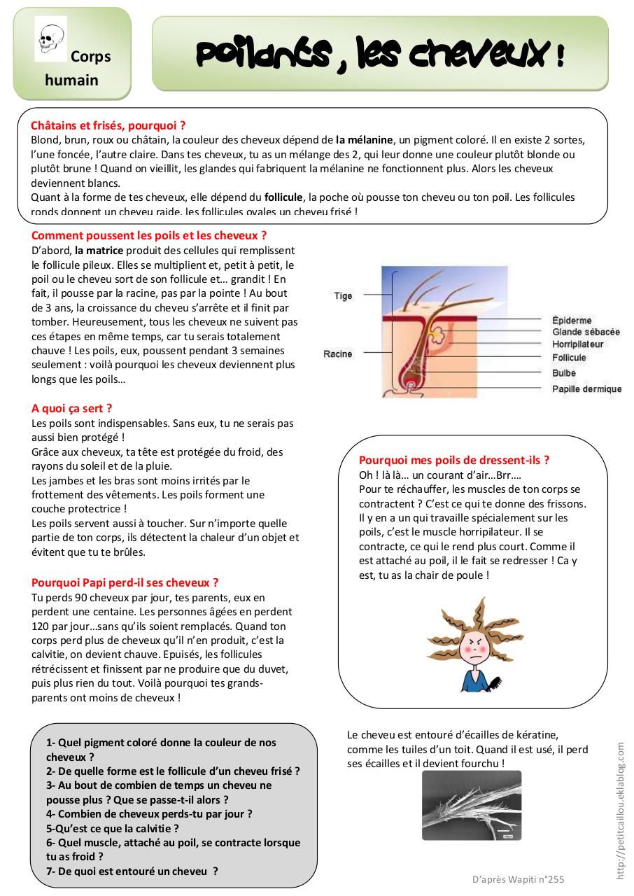 Aperçu du document CM2 QLM.pdf - page 1/1