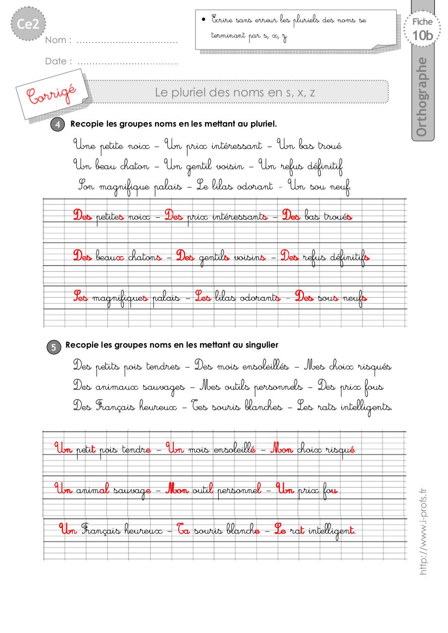 Aperçu du fichier PDF ce2-exercices-pluriel-sxz.pdf