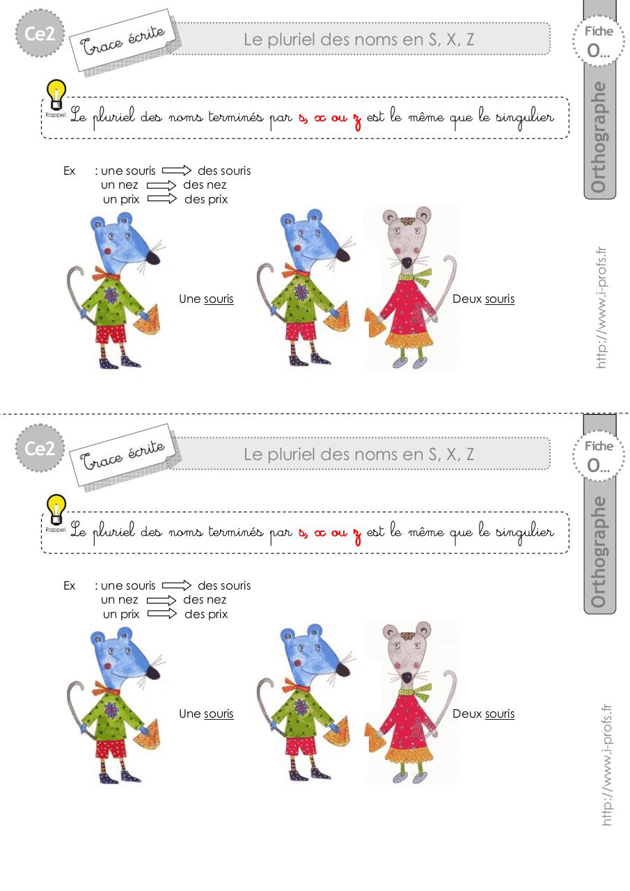 Aperçu du document ce2-trace-ecrite-pluriel-sxz.pdf - page 1/1