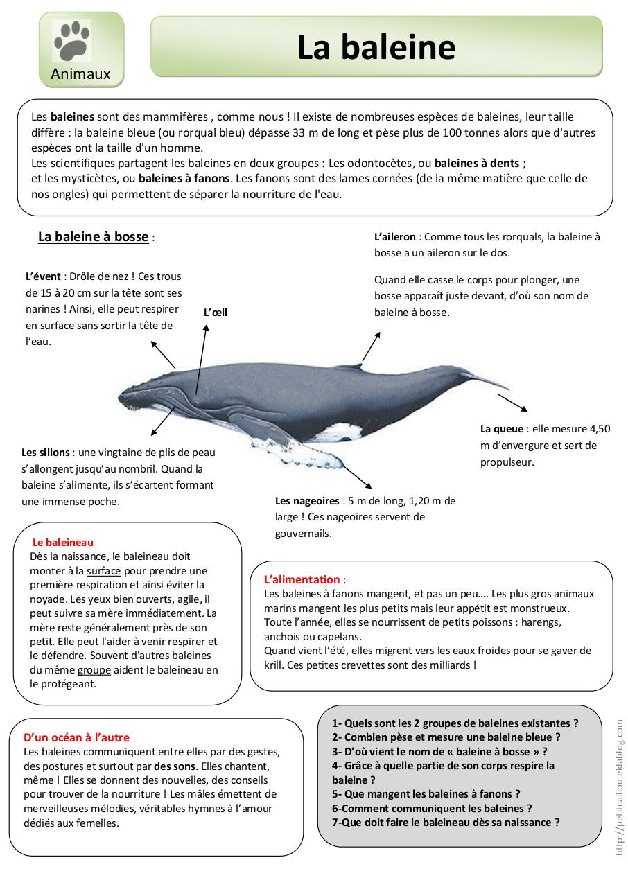 Aperçu du document QLM CE2.pdf - page 1/1