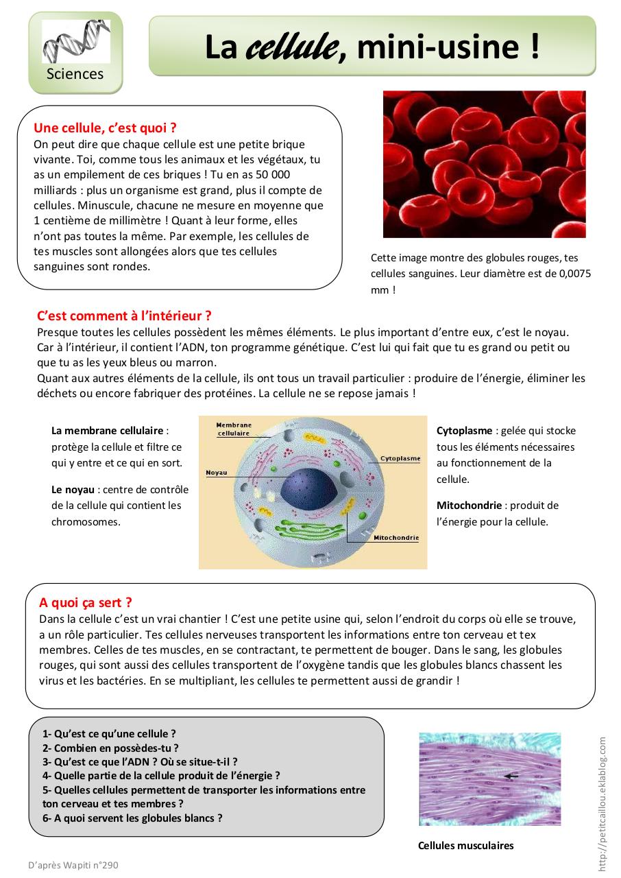 Aperçu du document QLM CM2.pdf - page 1/1