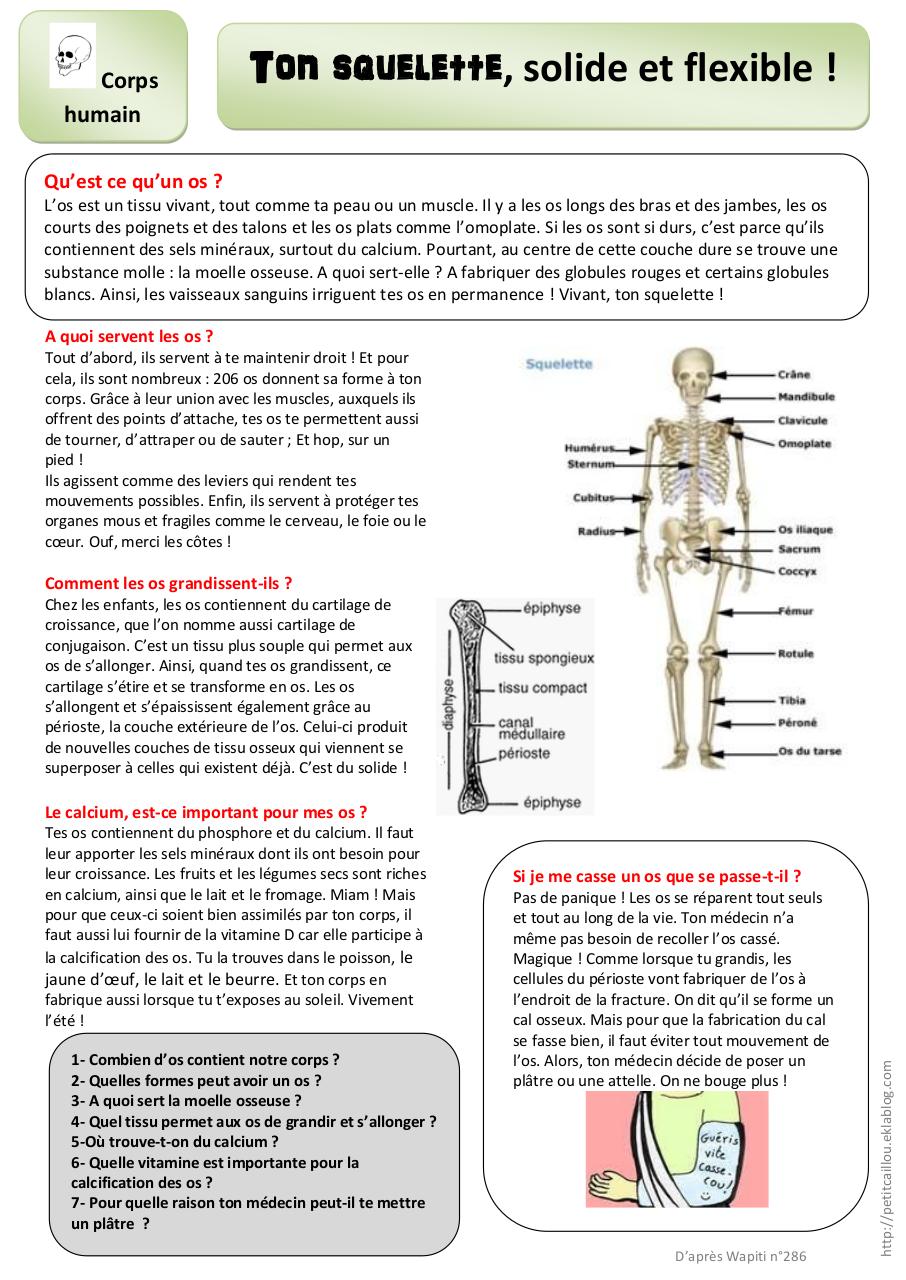 Aperçu du document QLM CM2.pdf - page 1/1