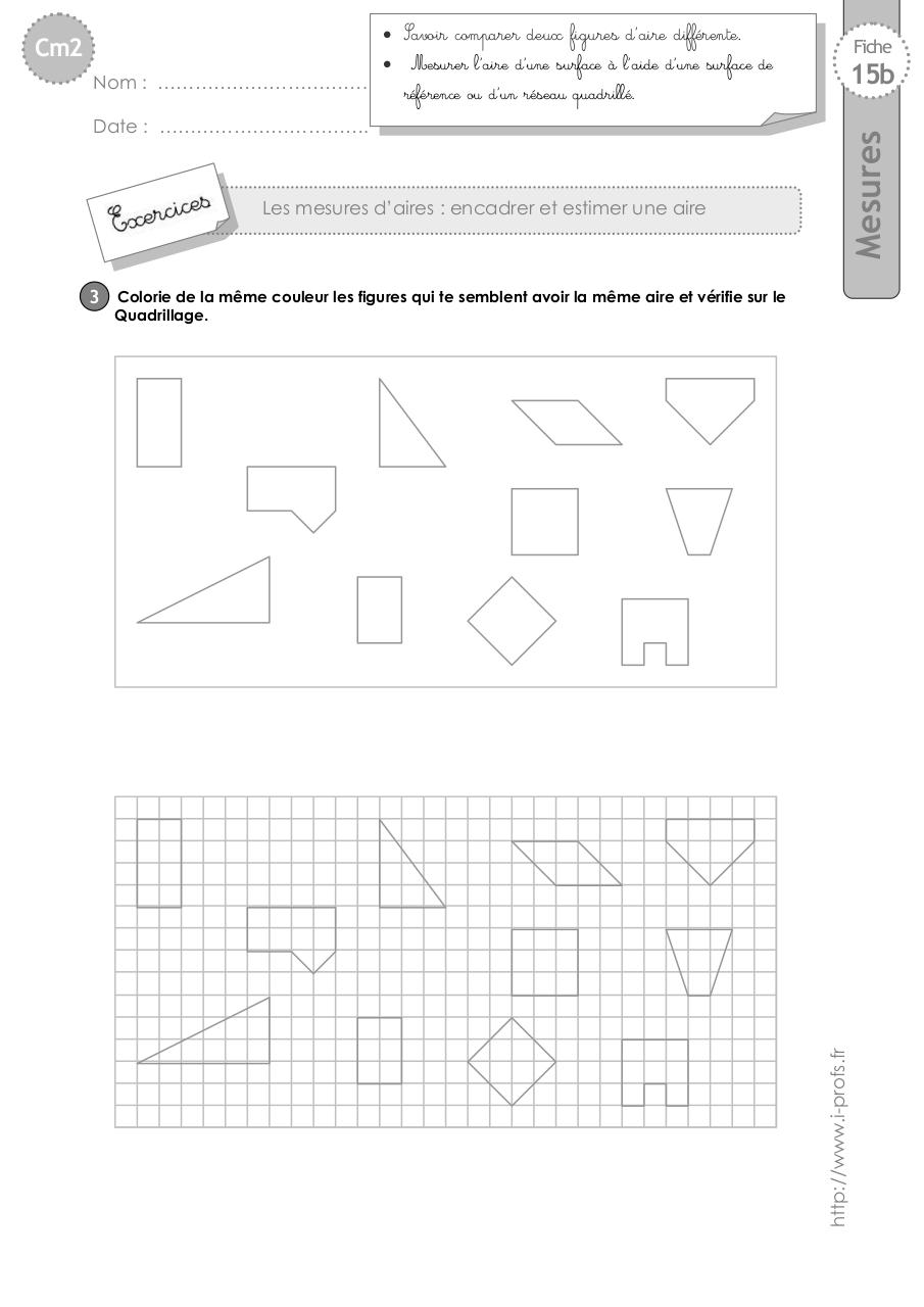cm2-exercices-aire-estimer.pdf - page 2/6